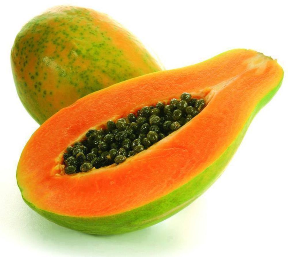 maradol papaya